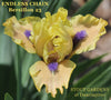 Iris Endless Chain