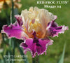 Iris Red Frog Flyin'