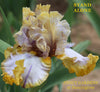 Iris Stand Alone