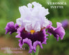 Iris Veronica Ivette