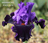 Iris Midnight Toccata