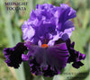 Iris Midnight Toccata